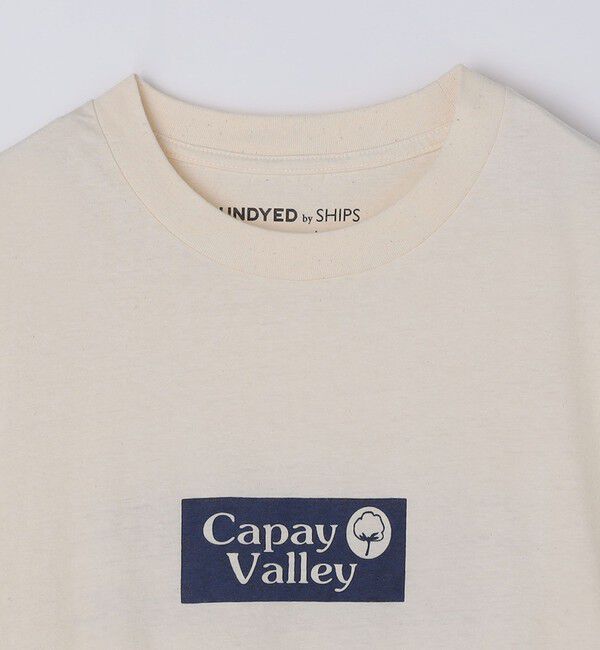 SHIPS「SHIPS: UNDYED オーガニック プリント Tシャツ」|Tシャツ・カットソー|