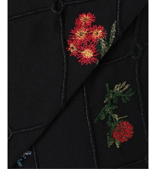 SLOBE IENA「《WEB限定/追加予約》embroideryメッシュパンツ」|その他|