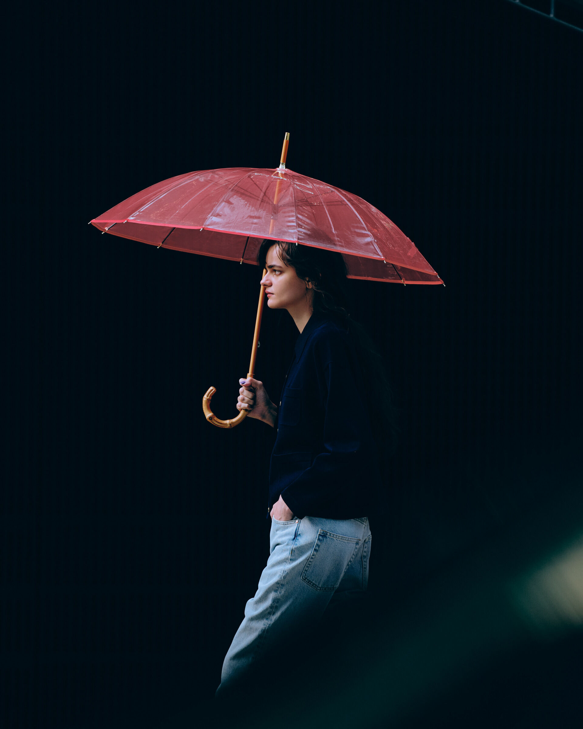 Traditional Weatherwear「CLEAR UMBRELLA BAMBOO」|傘|