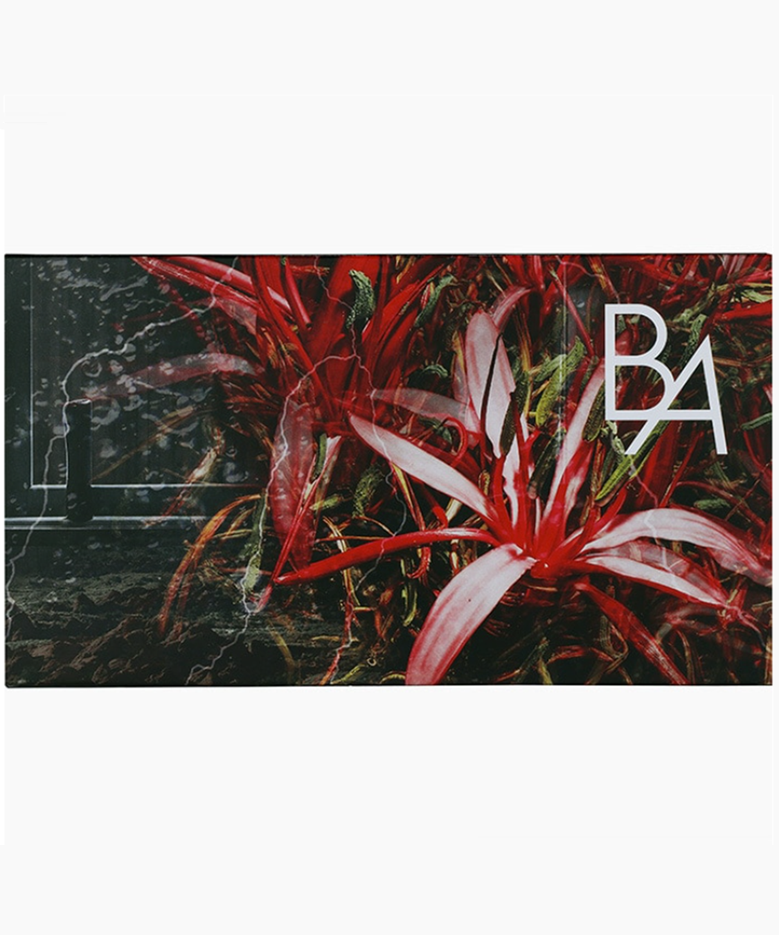 ポーラ「【数量限定】B.A ローション アニバーサリーキット(ローション 本品)」|化粧水|