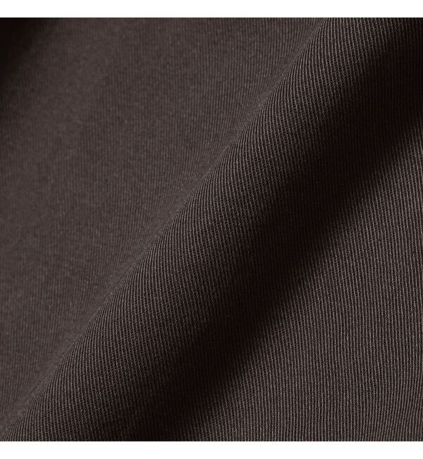 BEAMS「ワイドストレート 2プリーツ チノ パンツ」|チノ|