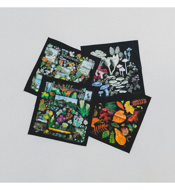 bPr BEAMS「【別注】THE PRINTED IMAGE / BANDANA」|トイレタリー・ランドリーグッズ|