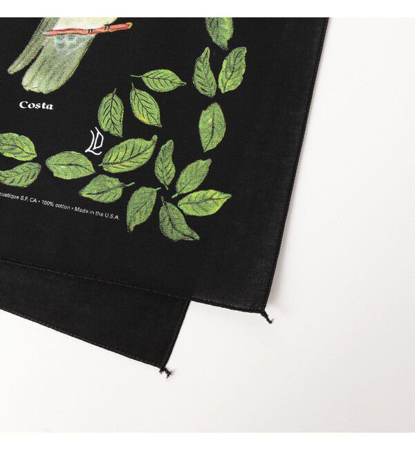 bPr BEAMS「【別注】THE PRINTED IMAGE / BANDANA」|トイレタリー・ランドリーグッズ|