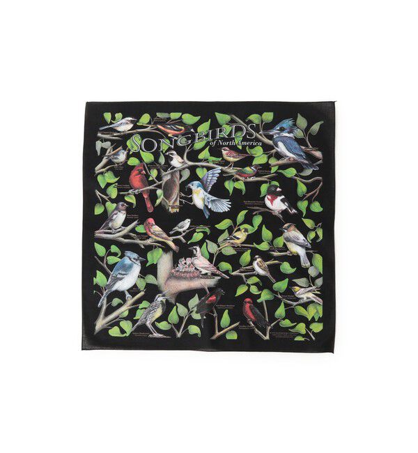 bPr BEAMS「【別注】THE PRINTED IMAGE / BANDANA」|トイレタリー・ランドリーグッズ|