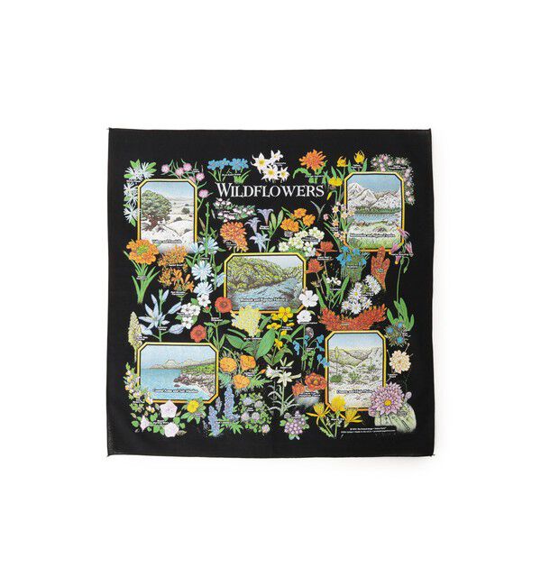 bPr BEAMS「【別注】THE PRINTED IMAGE / BANDANA」|トイレタリー・ランドリーグッズ|