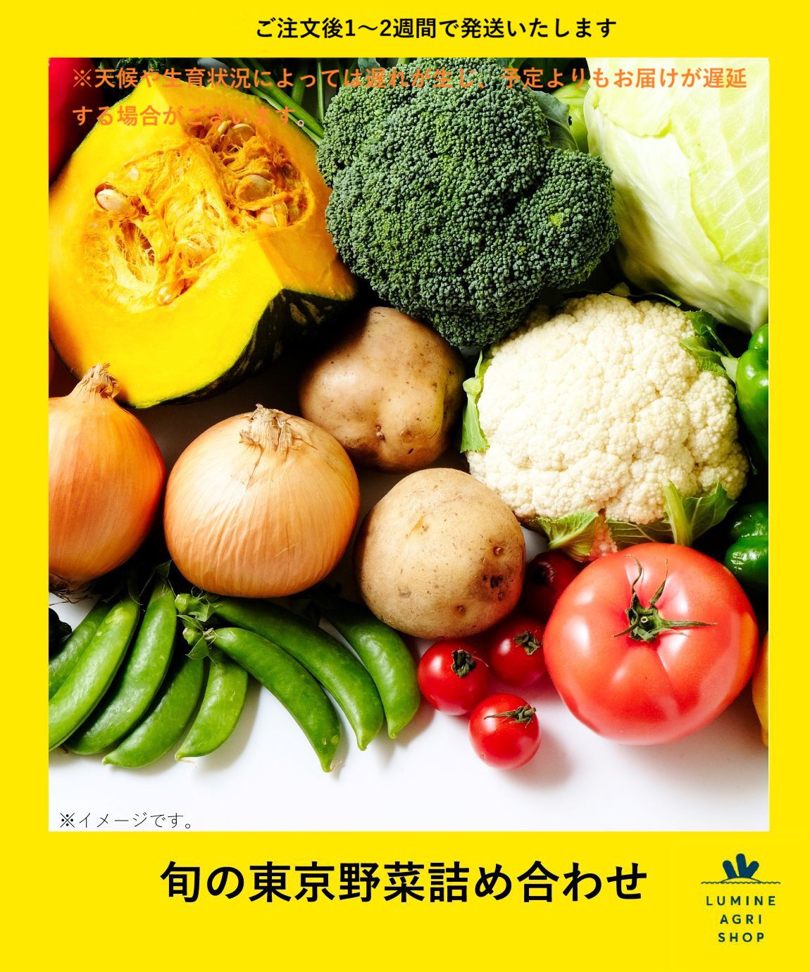LUMINE AGRI SHOP「旬の東京野菜詰め合わせ」|果物・野菜|その他