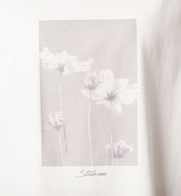 UNITED ARROWS green label relaxing「フォトプリント フレンチスリーブ Tシャツ 接触冷感」|Tシャツ・カットソー|