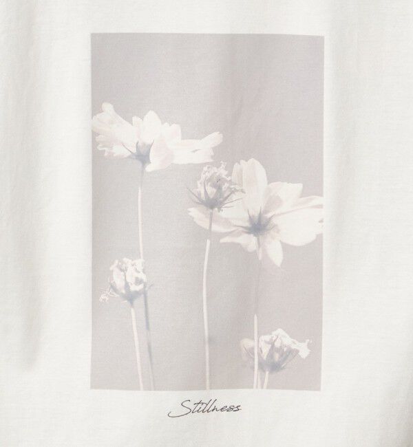 UNITED ARROWS green label relaxing「フォトプリント フレンチスリーブ Tシャツ 接触冷感」|Tシャツ・カットソー|