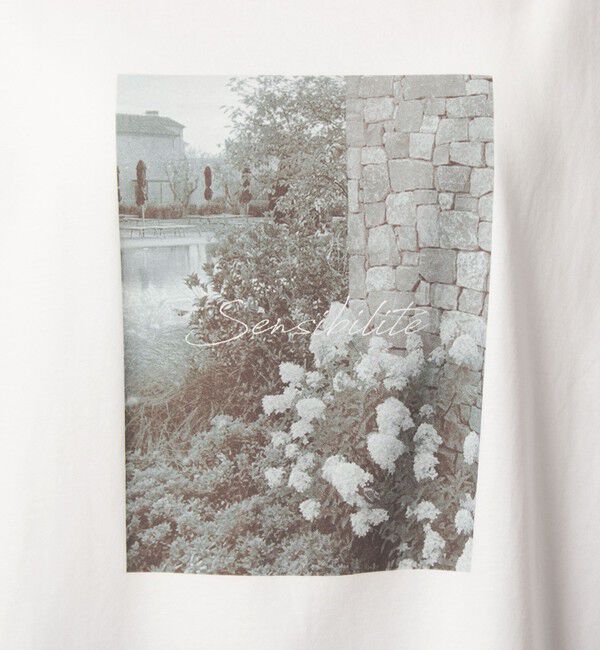 UNITED ARROWS green label relaxing「フォトプリント フレンチスリーブ Tシャツ 接触冷感」|Tシャツ・カットソー|