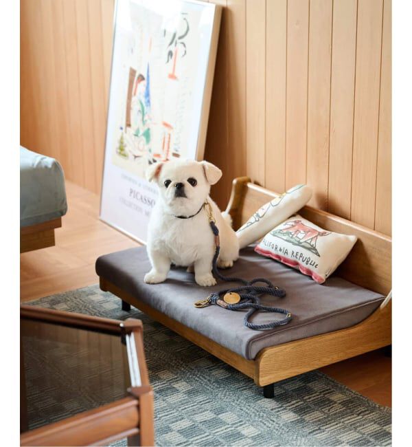 journal standard Furniture「【FOUND MY ANIMAL】ROPE LEASH 7FT　犬用 リード」|ステーショナリー|