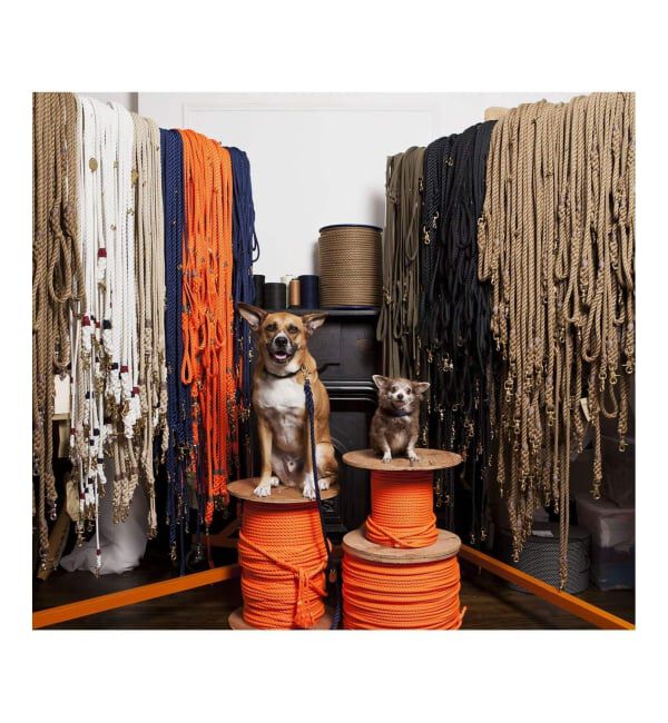 journal standard Furniture「【FOUND MY ANIMAL】ROPE LEASH 7FT　犬用 リード」|ステーショナリー|