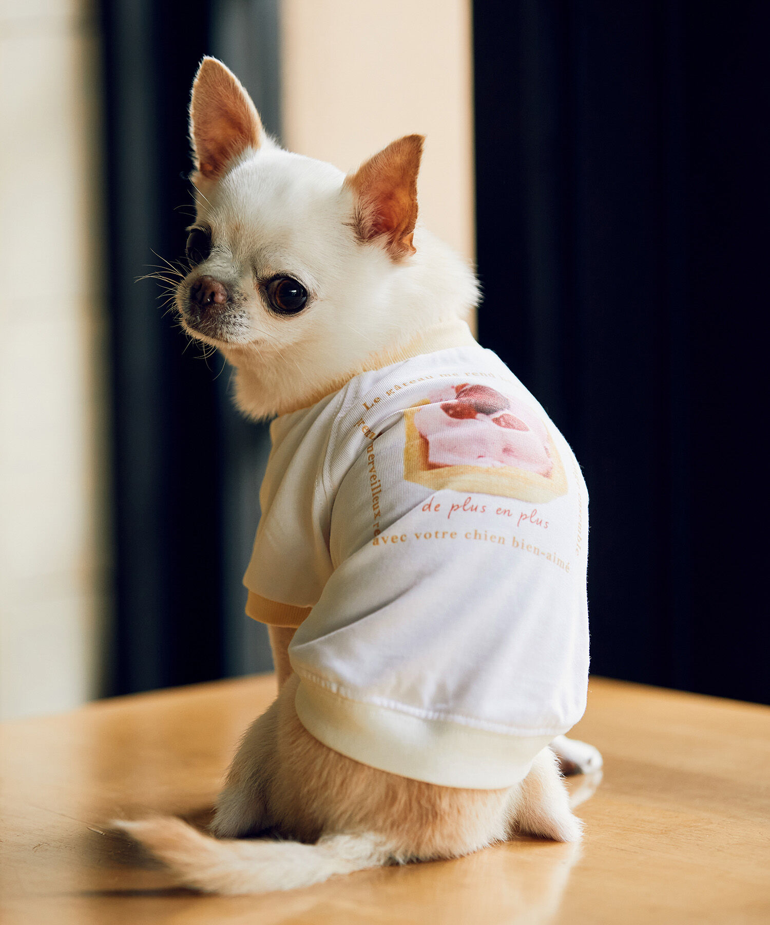 商品画像