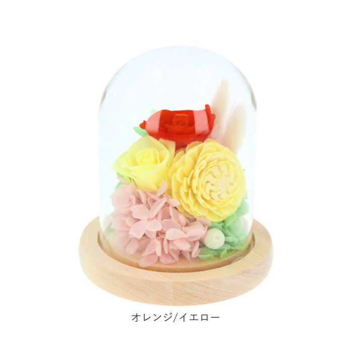 BACKYARD FAMILY「お供え プリザーブドフラワー ガラスドーム 通販 ソレイユ アレンジメント 供養 仏花 供え花」|その他|