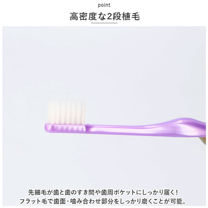 BACKYARD FAMILY「磨きやすい歯ブラシ 田辺重吉 通販 極 ふつう 6本組 みがきやすい歯ブラシ LT-53 歯ブラシ」|その他|