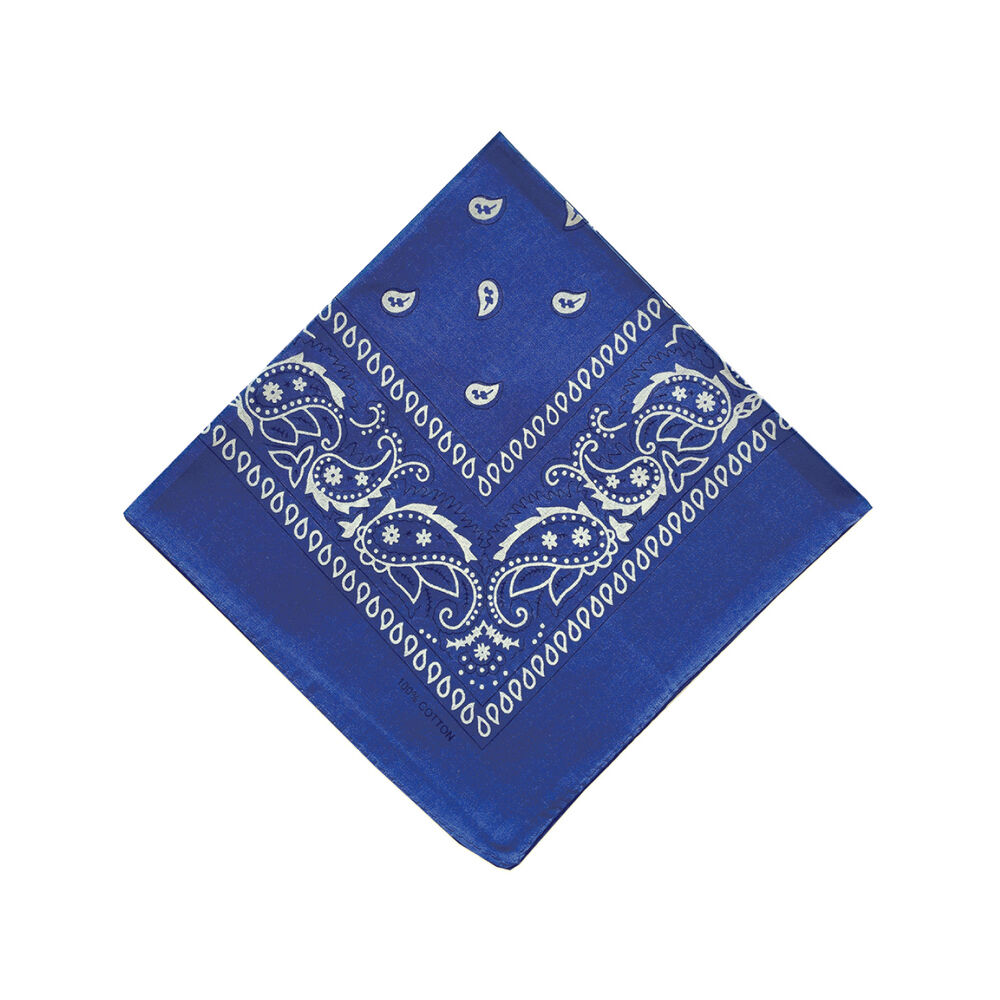 BACKYARD FAMILY「バンダナ 通販 スカーフ 柄 BANDANNA マスク ハンカチ ターバン 帽子 おしゃれ 定番」|マフラー|ブルー1