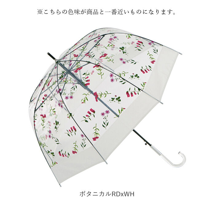 BACKYARD FAMILY「ビニール傘 丈夫 通販 プラスチック傘 プラスチック 65cm バードケージ 傘 グラスファイバー」|傘|