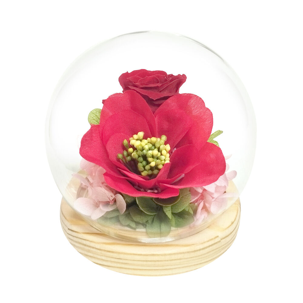 BACKYARD FAMILY「お供え ガラスドーム 供養 仏花 通販 フラワーアレンジメント プリザーブドフラワー」|その他|レッド1