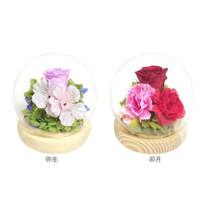 BACKYARD FAMILY「お供え ガラスドーム 供養 仏花 通販 フラワーアレンジメント プリザーブドフラワー」|その他|