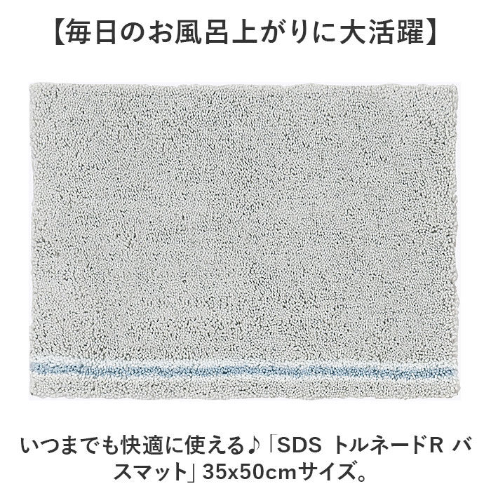 BACKYARD FAMILY「SDS バスマット 35&times;50 通販 足拭きマット 足ふきマット バス マット 小さめ」|その他|
