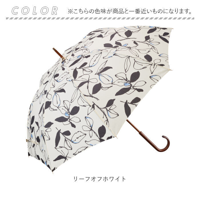 BACKYARD FAMILY「長傘 レディース 通販 umbulatio アンブラティオ 雨傘 婦人傘 レディース傘 傘 かさ」|傘|