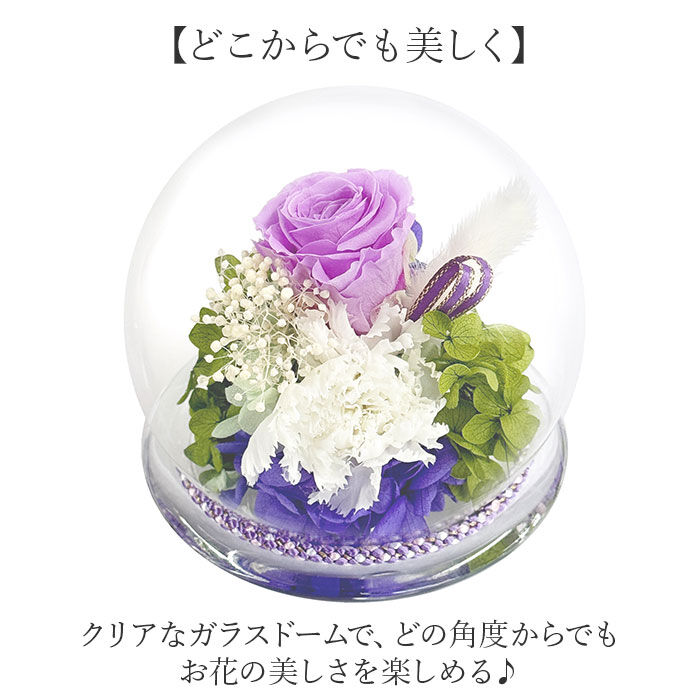 BACKYARD FAMILY「プリザーブド フラワー 仏花 ガラスドーム 通販 フラワーアレンジメント ガラス ドーム」|その他|