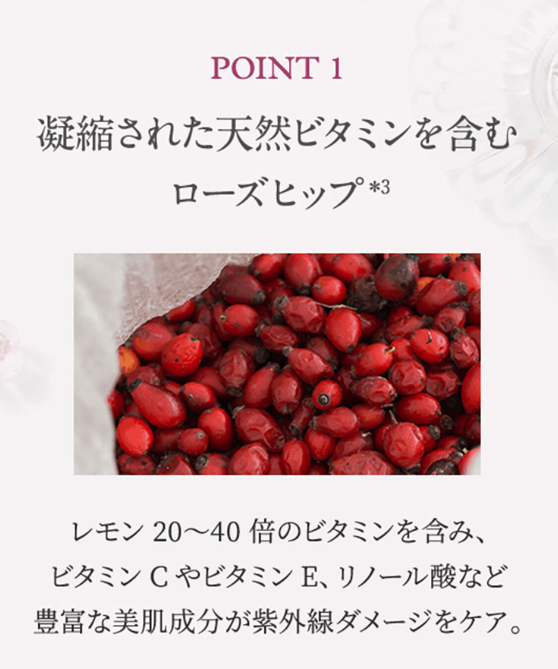 NEAL&rsquo;S YARD REMEDIES「ワイルドローズ ビューティセラム　30ml」|美容液・オイル・クリーム|