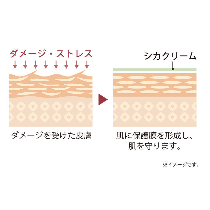 BACKYARD FAMILY「シカクリーム 日本製 通販 シカメソッドクリーム cicaクリーム 韓国 定番 クリーム」|美容液・オイル・クリーム|