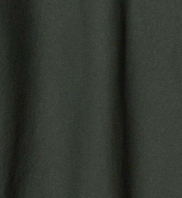 BEAUTY&YOUTH UNITED ARROWS「＜CHAMPION&times;BEAUTY&YOUTH＞ヘンリーネック スウェット」|Tシャツ・カットソー|