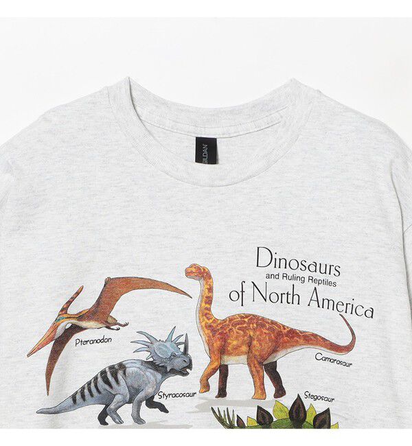 BEAMS SELECTION for WOMEN「【別注】Atlas Screen Printing / Dinosaur Tee」|Tシャツ・カットソー|