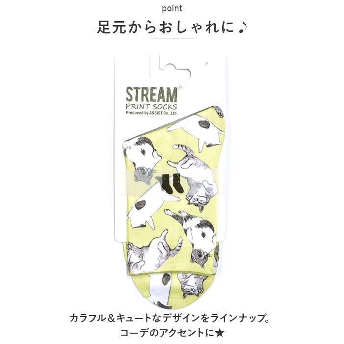 BACKYARD FAMILY「プリントソックス クルー丈 通販 クルーソックス 靴下 くつ下 くつした レディース ソックス」|ソックス|