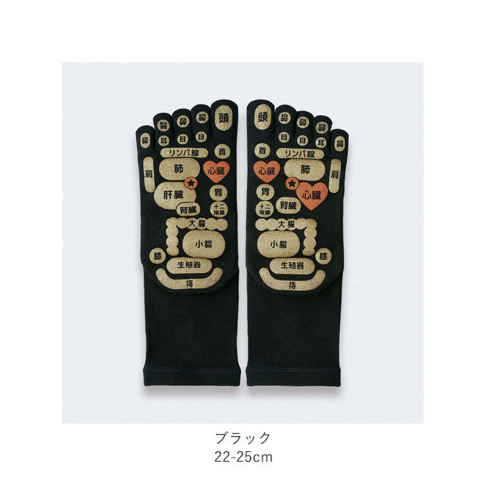 BACKYARD FAMILY「足つぼ 靴下 通販 TSUBOレシピ 足つぼソックス メンズ レディース ソックス くつ下 靴した」|ソックス|