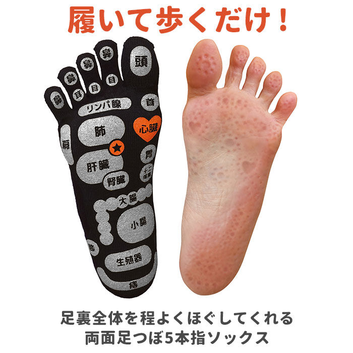 BACKYARD FAMILY「足つぼ 靴下 通販 TSUBOレシピ 足つぼソックス メンズ レディース ソックス くつ下 靴した」|ソックス|