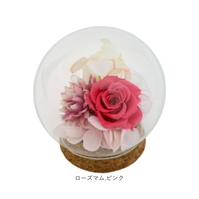 BACKYARD FAMILY「プリザーブドフラワー ガラスドーム 通販 ブリザーブドフラワー フラワーギフト 花」|その他|