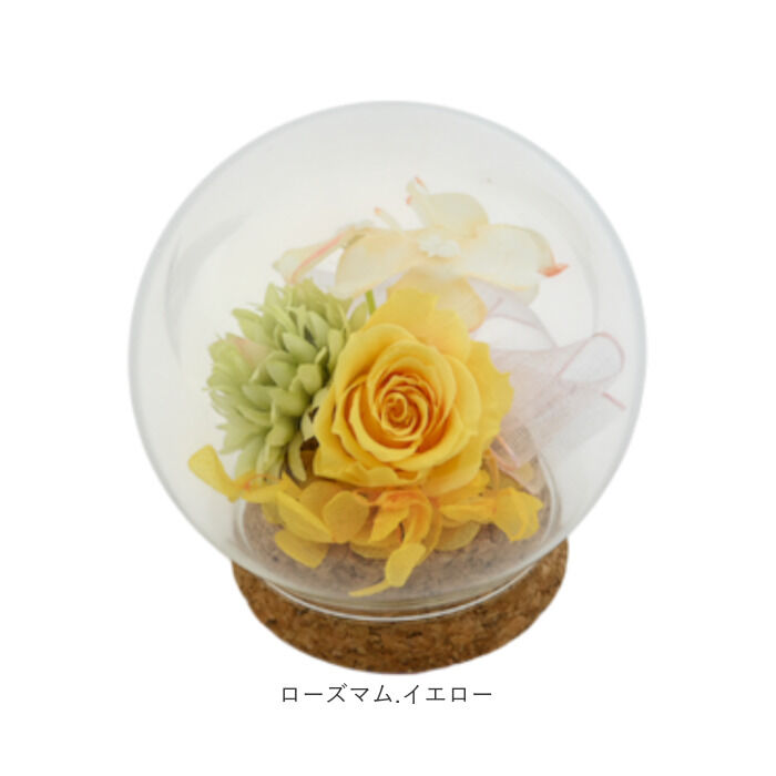 BACKYARD FAMILY「プリザーブドフラワー ガラスドーム 通販 ブリザーブドフラワー フラワーギフト 花」|その他|