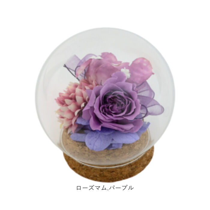 BACKYARD FAMILY「プリザーブドフラワー ガラスドーム 通販 ブリザーブドフラワー フラワーギフト 花」|その他|