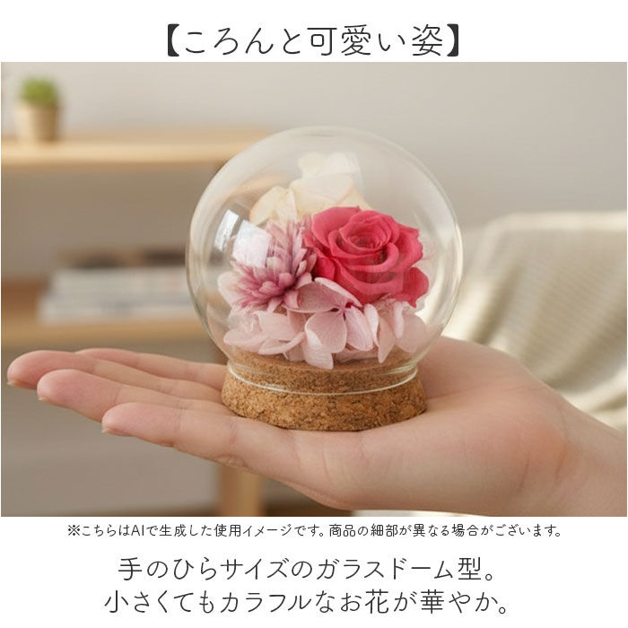 BACKYARD FAMILY「プリザーブドフラワー ガラスドーム 通販 ブリザーブドフラワー フラワーギフト 花」|その他|