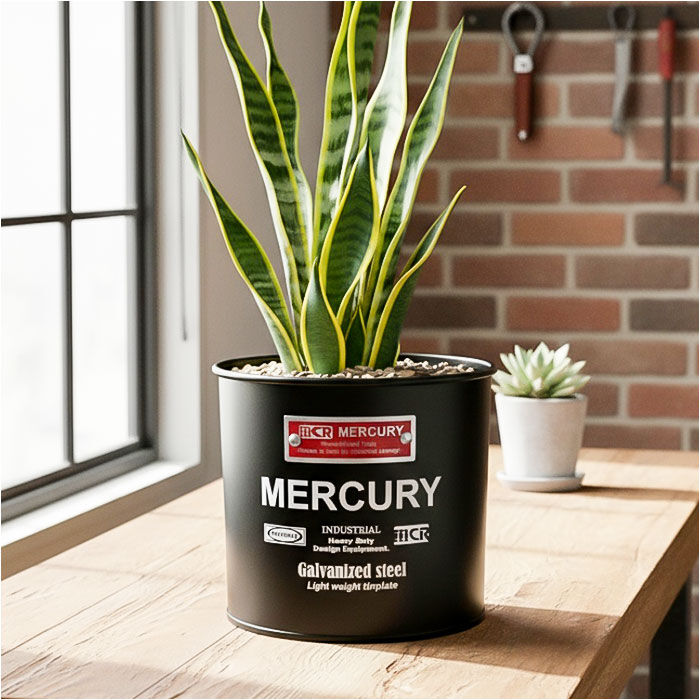 MERCURY「MERCURY マーキュリー マルチポット 通販 収納ボックス 収納 ボックス ダストボックス」|ダストボックス|