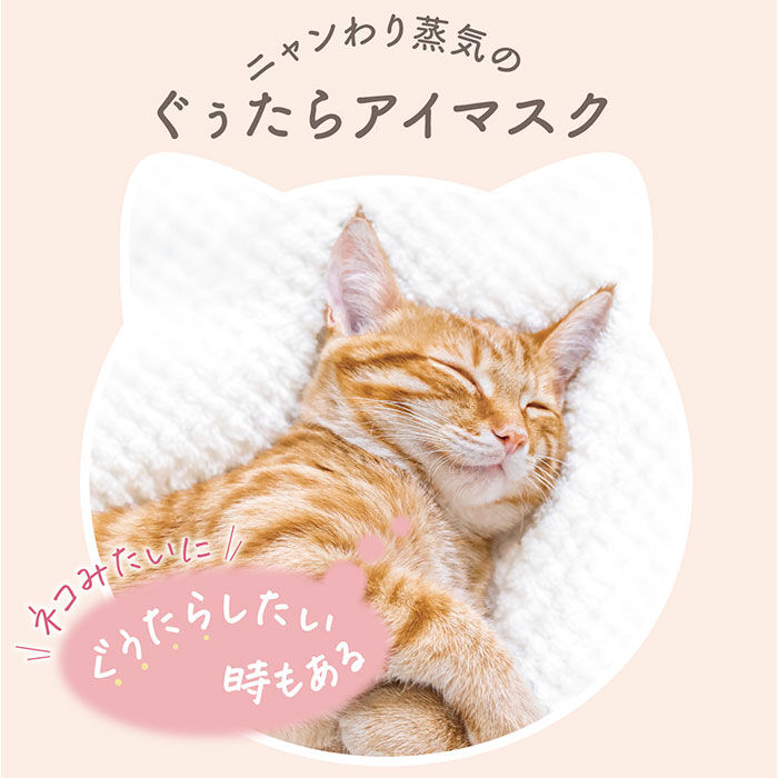 BACKYARD FAMILY「ホット アイマスク ギフトセット 21枚 通販 ホットアイマスク 使い捨て ギフト 温熱アイマスク」|マッサージ・ボディスクラブ|