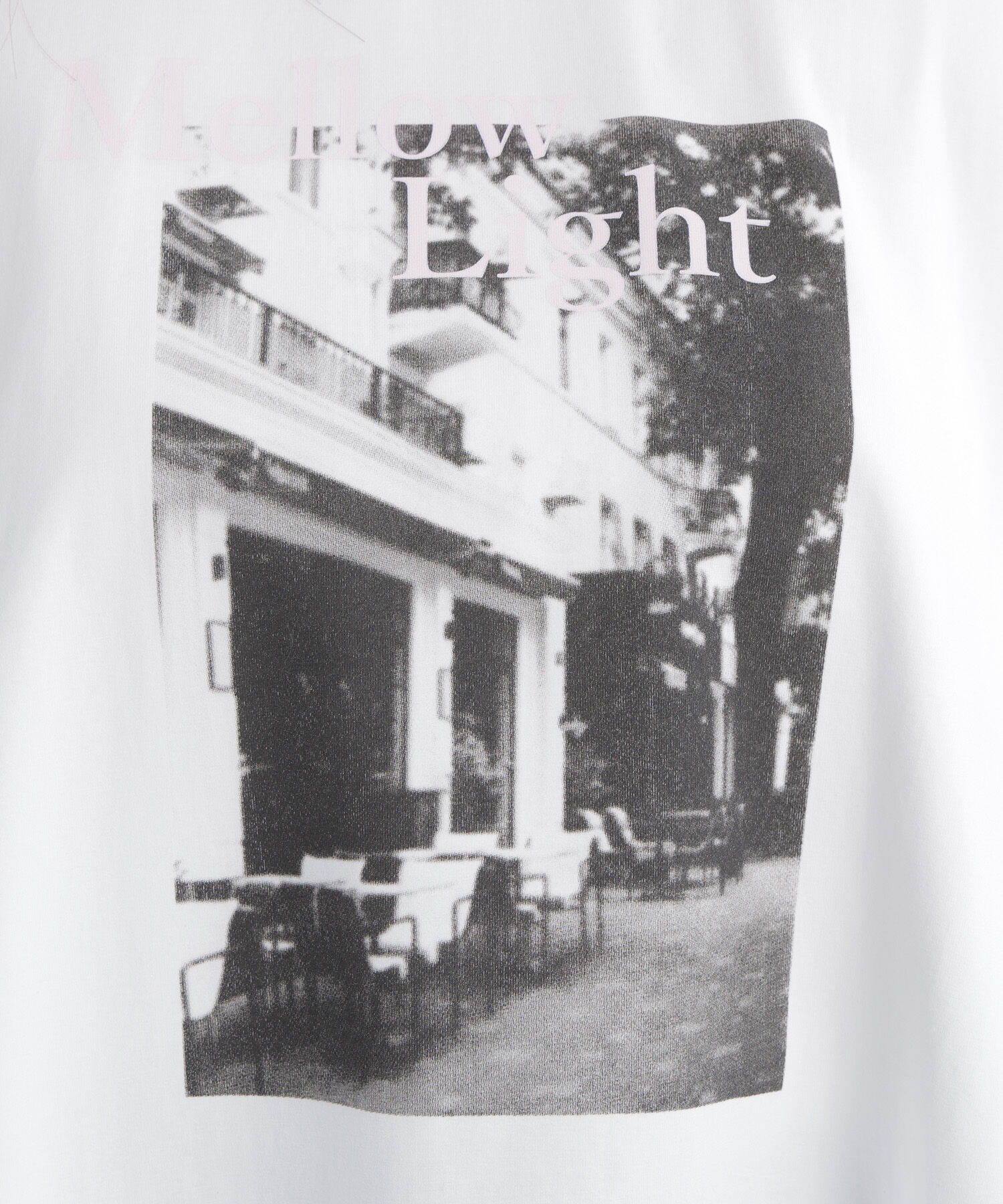  「フォトプリントTシャツ」|Tシャツ・カットソー|