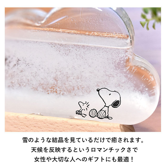 BACKYARD FAMILY「ストームグラス 雑貨 通販 キャラクター スヌーピー グッズ リラックマ 大人 向け クラウド 雲」|その他|