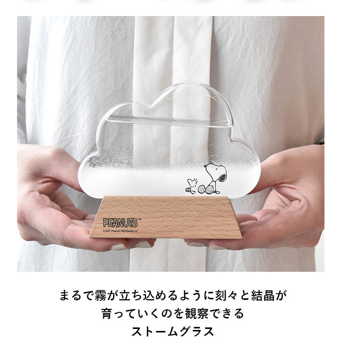 BACKYARD FAMILY「ストームグラス 雑貨 通販 キャラクター スヌーピー グッズ リラックマ 大人 向け クラウド 雲」|その他|