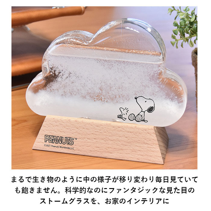 BACKYARD FAMILY「ストームグラス 雑貨 通販 キャラクター スヌーピー グッズ リラックマ 大人 向け クラウド 雲」|その他|