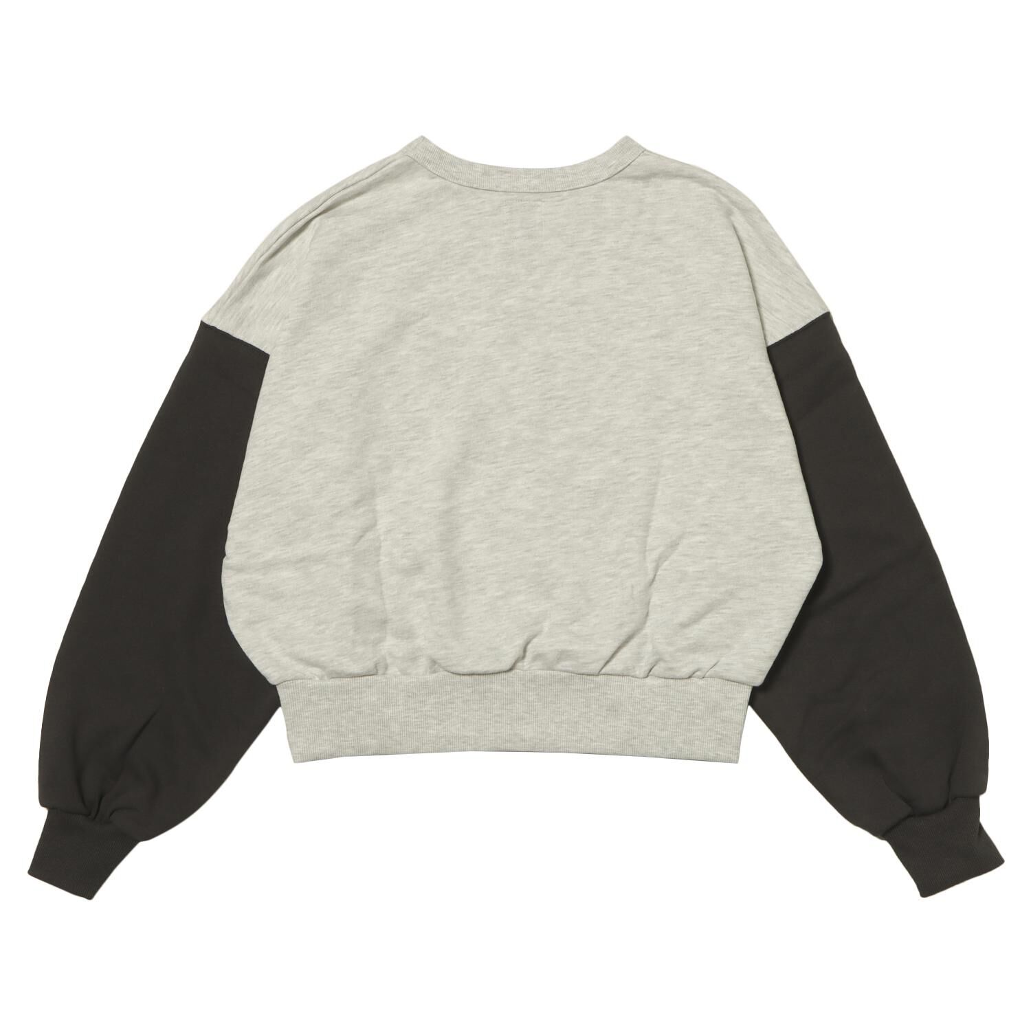 VANS「【VANSｱﾊﾟﾚﾙ(WJ)】W Color Scheme Cropped SWT」|パーカー|