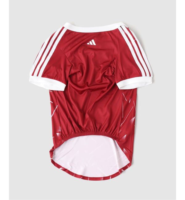 Liverpool FC「【adidas / アディダス】Liverpool FC adidas SOCC PET JSY LFC」|その他|