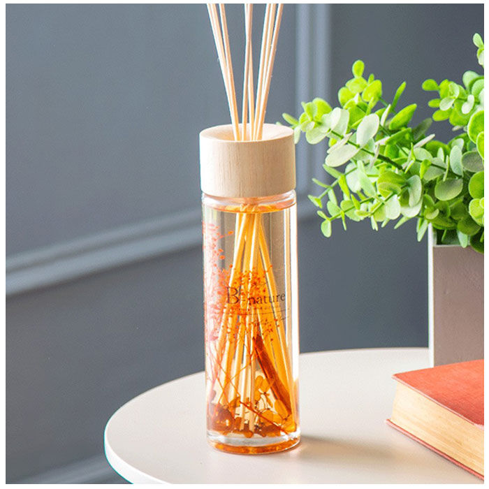 BACKYARD FAMILY「B-nature リードディフューザー 430ml 通販 スティック 芳香剤 フレグランス」|アロマ・ルームフレグランス|