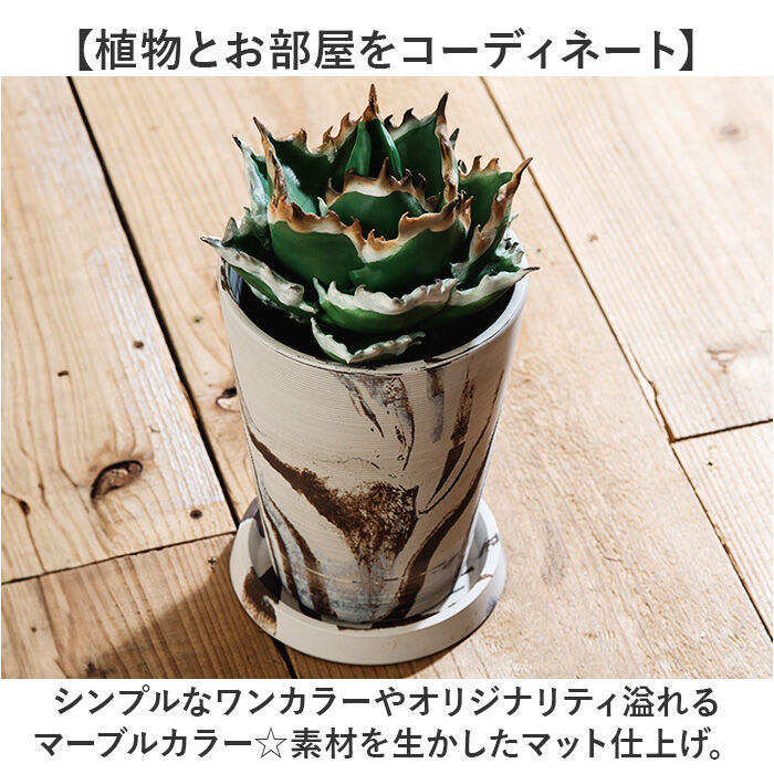 BACKYARD FAMILY「植木鉢 おしゃれ 受け皿付き 通販 鉢カバー 4号 鉢 プラスチック プランター プランターカバー」|その他|