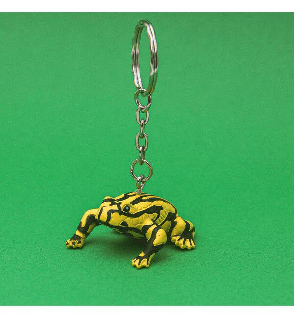 bPr BEAMS「Science and Nature / Animal Keyring」|キーケース|CORROBOREE_FROG