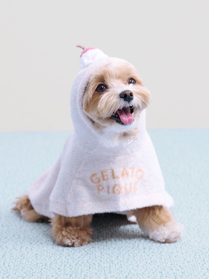  GELATO PIQUE CAT&DOG「【CAT&DOG】【Birthday】スムーズィーケープ」|その他|PNK