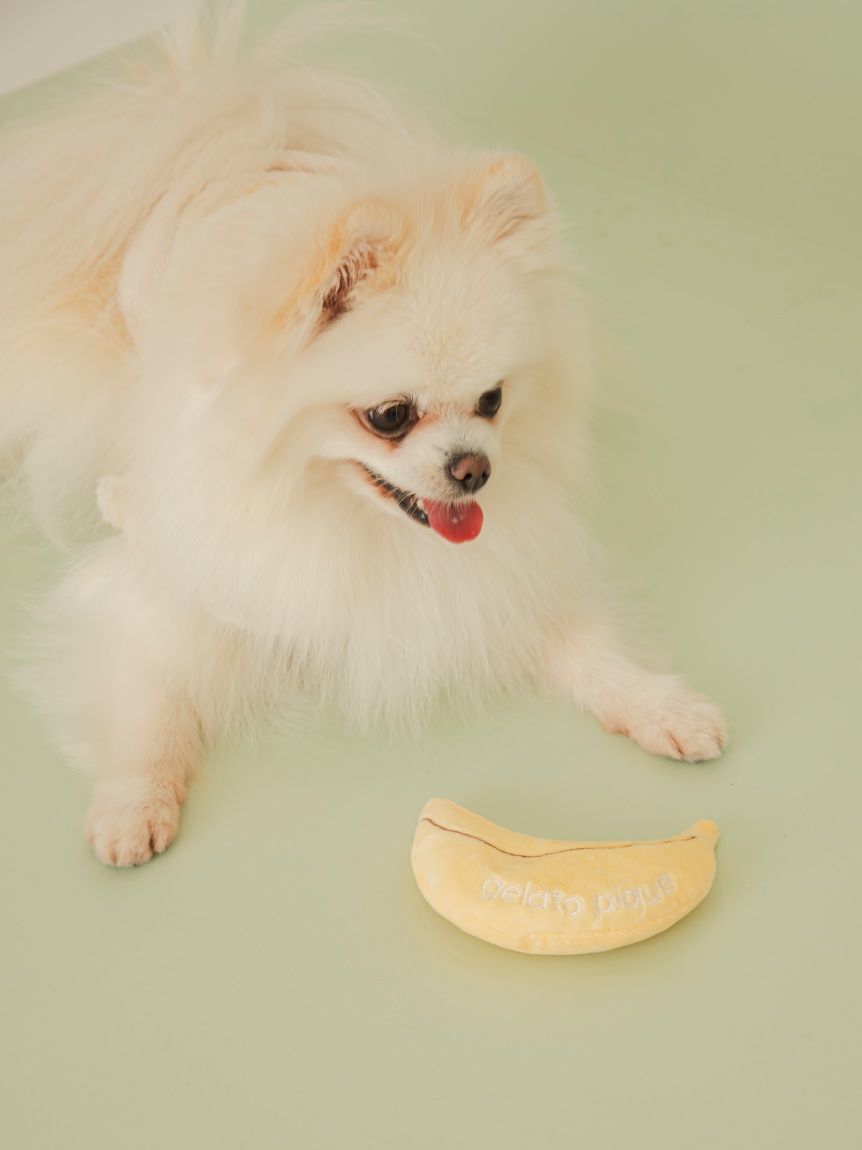  GELATO PIQUE CAT&DOG「【CAT&DOG】フルーツトイ」|その他|