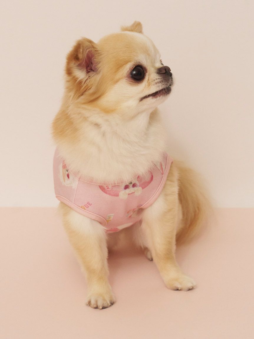  GELATO PIQUE CAT&DOG「【CAT&DOG】【接触冷感】ビーチ マルチーズ ポメラニアン チワワ柄Coolingプルオーバー」|その他|
